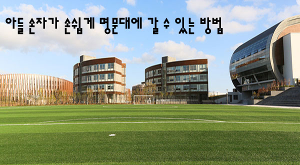 아들 손자가 손쉽게 명문대에 갈 수 있는 가장 편한 방법