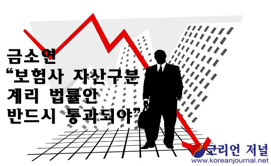 금소연 “보험사 자산구분계리 법률안 반드시 통과되야”