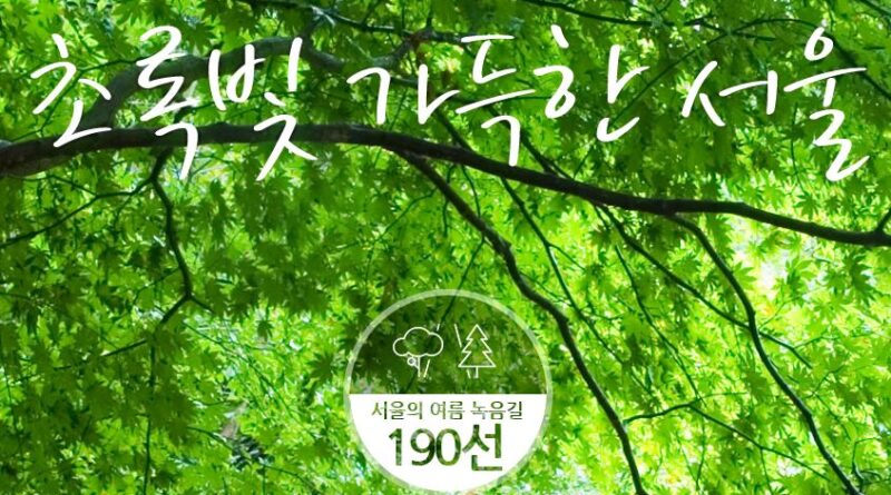 서울 녹음길190소를 즐기세요.