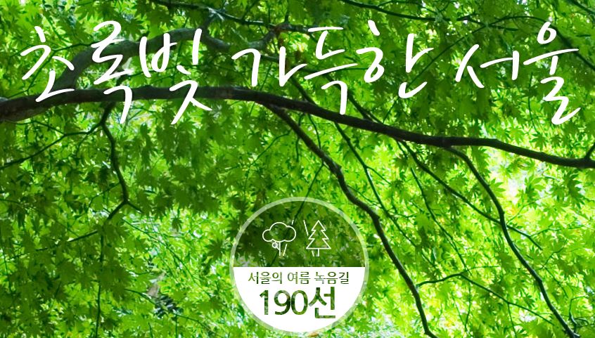 서울 녹음길190소를 즐기세요.