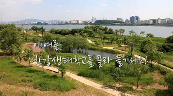 여름방학 맞이 ‘38개 한강생태 교실’ 중 골라 즐기세요!
