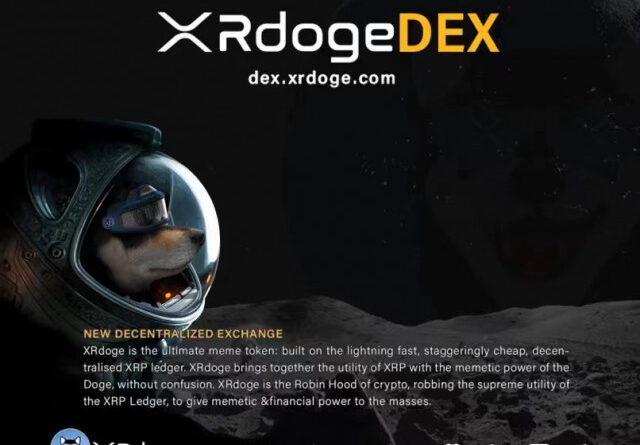 탈중앙화거래소 XRdoge, 2021년 연간 보고서 발표